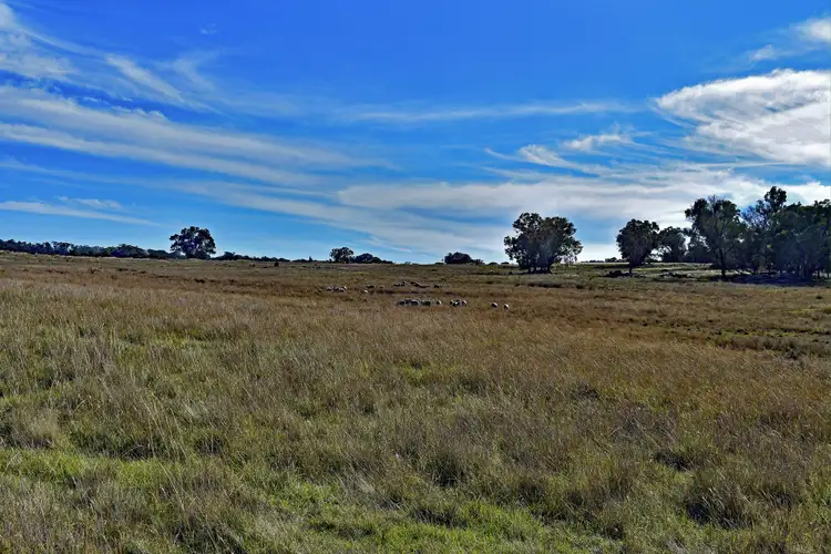 Seventh view of Homely rural property listing, Address available on request