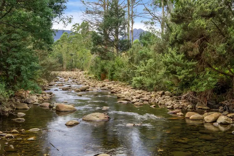 Third view of Homely house listing, 22 Bennetts Rd, Mountain River TAS 7109