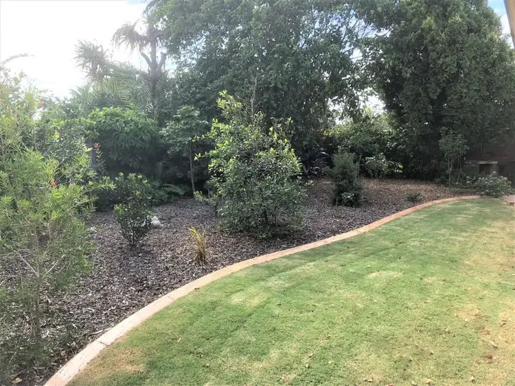 Fifth view of Homely house listing, 25 Coonawa St, Buddina QLD 4575