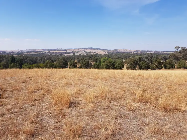 Lot 2 Beatrice Road, Burrumbuttock NSW 2642