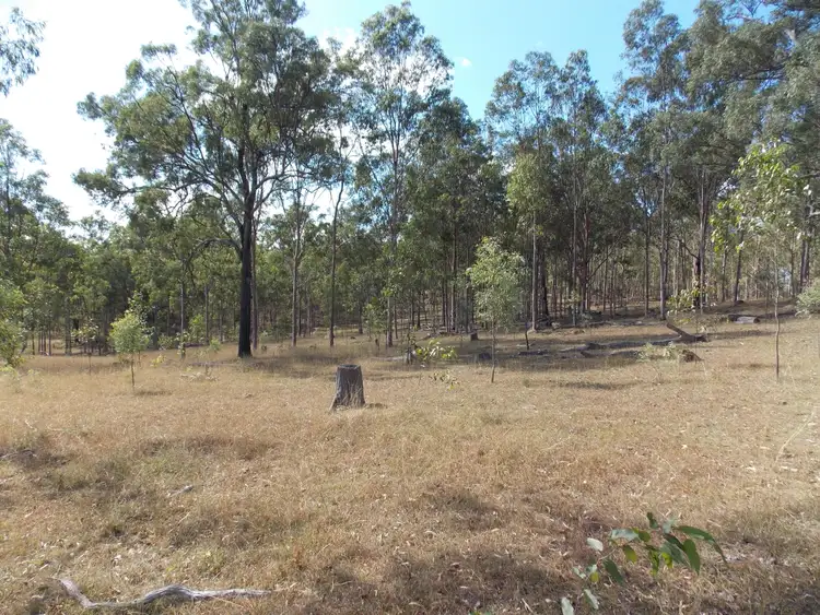 Seventh view of Homely rural property listing, 355 Sippels Road, Calvert QLD 4340