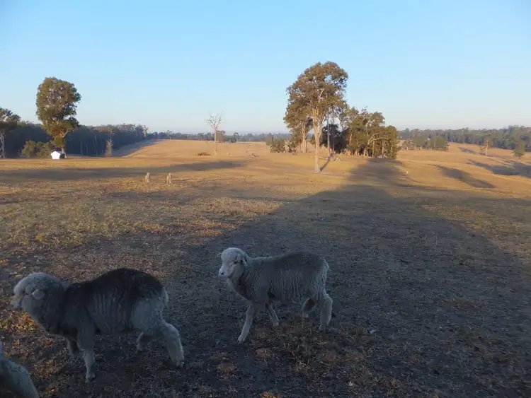 Sixth view of Homely house listing, 9 Hallier Court, Nicholson VIC 3882