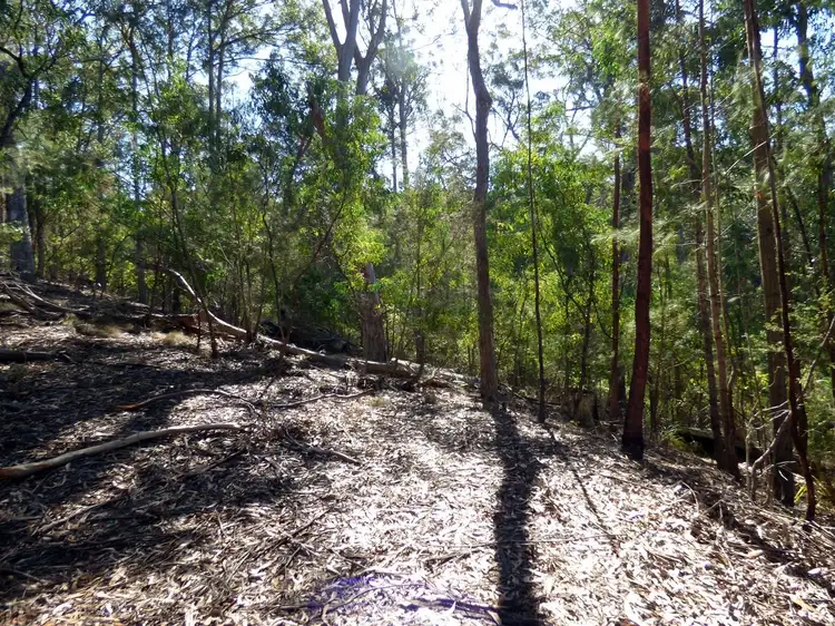 Fourth view of Homely rural property listing, Lot 452 The Snake Track KIAH Via, Eden NSW 2551
