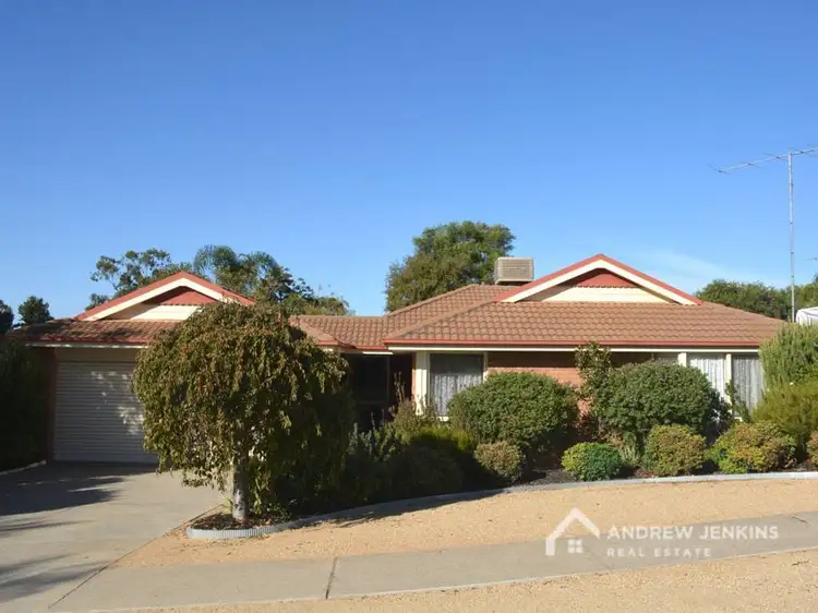 6 Anvil St, Cobram VIC 3644