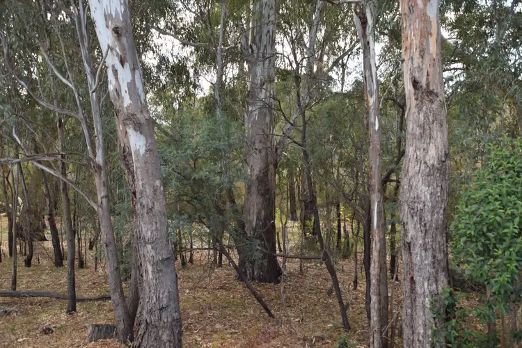 Third view of Homely house listing, 80 Carr Cres, Mooroopna VIC 3629