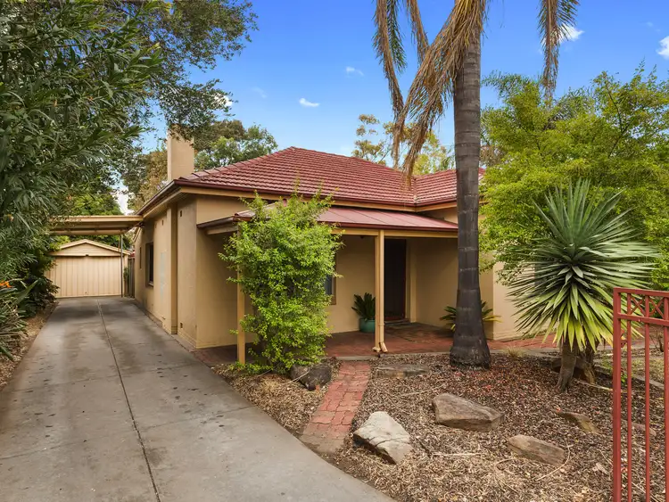 Main view of Homely house listing, 24 Kimber Tce, Kurralta Park SA 5037