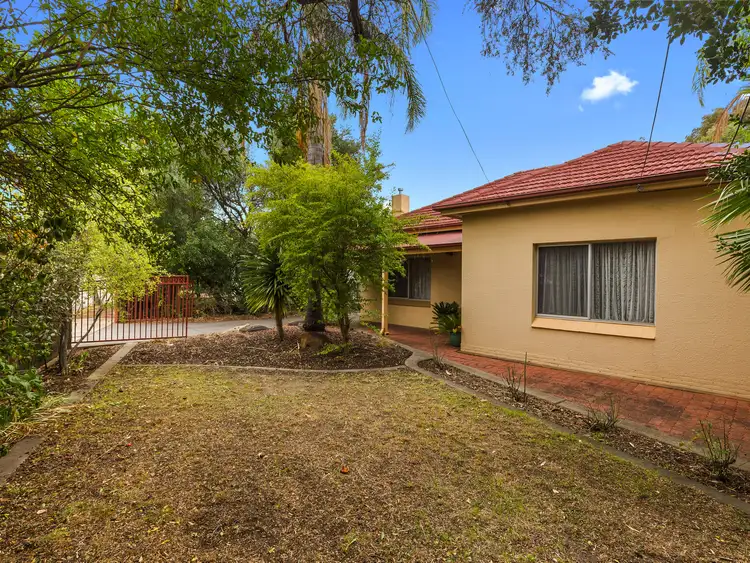 Second view of Homely house listing, 24 Kimber Tce, Kurralta Park SA 5037