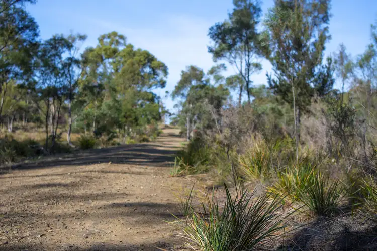 Third view of Homely land listing, Hillmont Bresnehans Road, Little Swanport TAS 7190