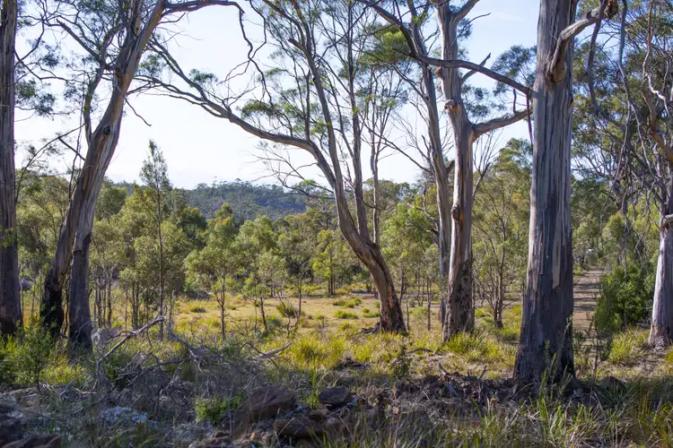 Fourth view of Homely land listing, Hillmont Bresnehans Road, Little Swanport TAS 7190