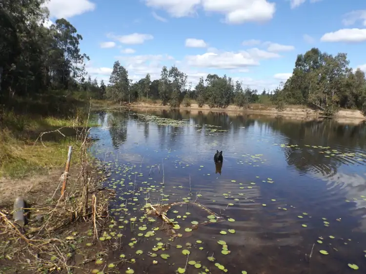 Third view of Homely rural property listing, 1408 Dyraaba Rd, Dyraaba NSW 2470