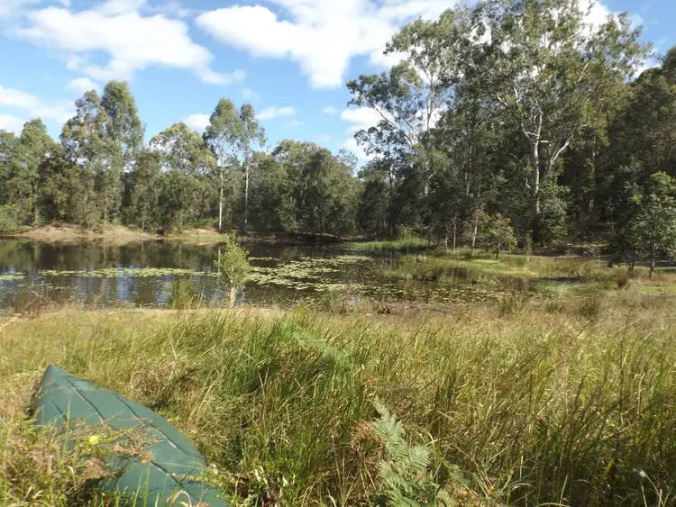 Sixth view of Homely rural property listing, 1408 Dyraaba Rd, Dyraaba NSW 2470