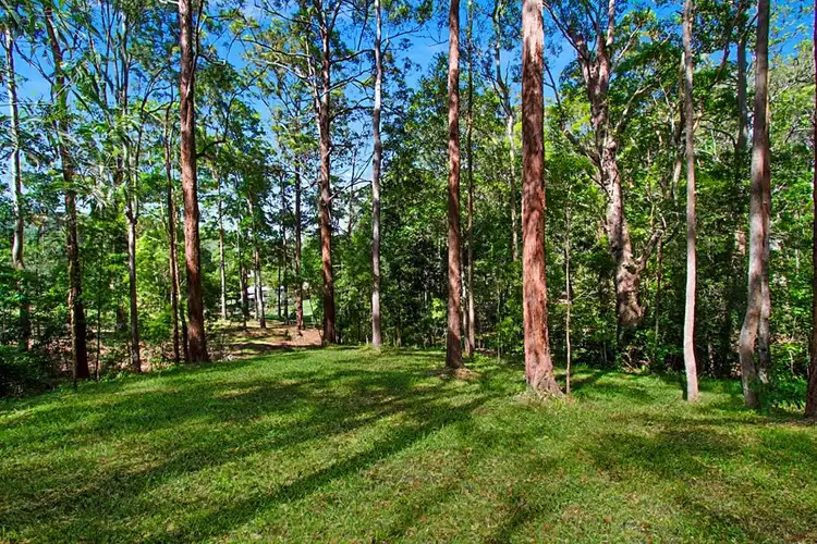 Fifth view of Homely land listing, 14 Clare Ct, Tallebudgera Valley QLD 4228