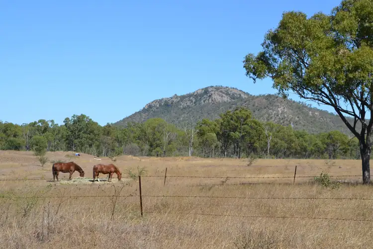 Main view of Homely rural property listing, 829 Lion Mountain Rd, Alton Downs QLD 4702
