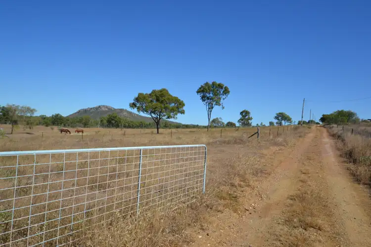Second view of Homely rural property listing, 829 Lion Mountain Rd, Alton Downs QLD 4702