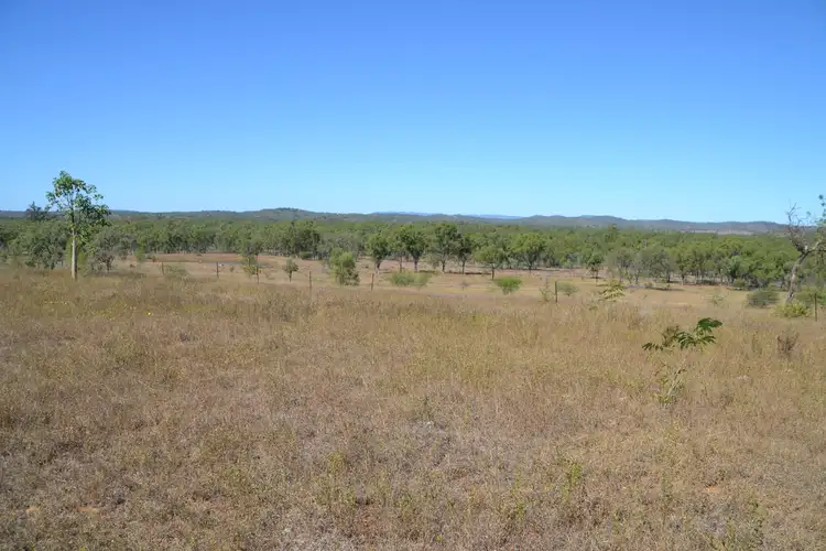 Sixth view of Homely rural property listing, 829 Lion Mountain Rd, Alton Downs QLD 4702