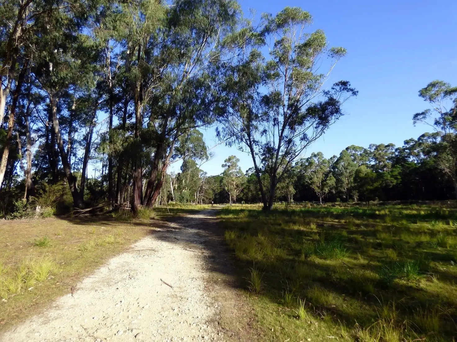 Main view of Homely rural property listing, Lots 292 & 293 Princes Highway NARRABARBA Via, Eden NSW 2551