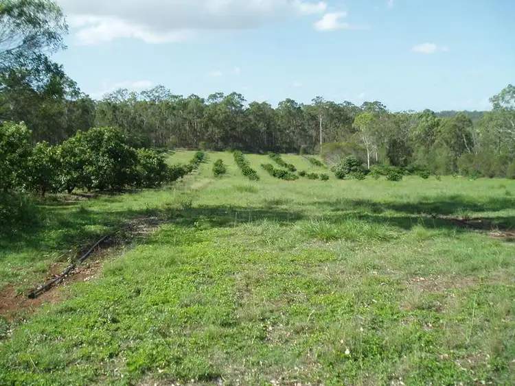 Sixth view of Homely rural property listing, 751 Teddington Road, Teddington QLD 4650
