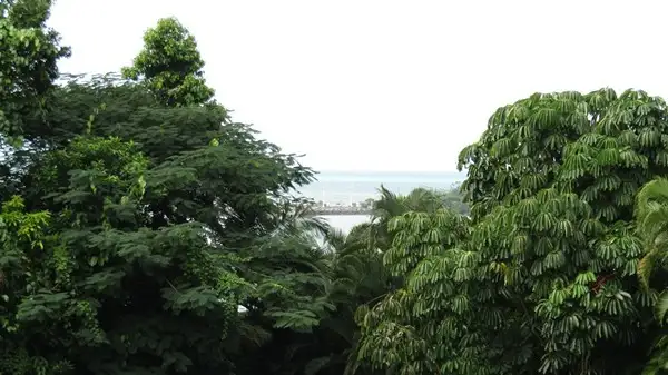 Second view of Homely land listing, 5 Unsworth Dr, Mission Beach QLD 4852