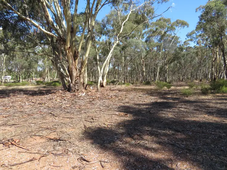 Main view of Homely rural property listing, CA 18 & 22 Yelka Street, Wedderburn VIC 3518