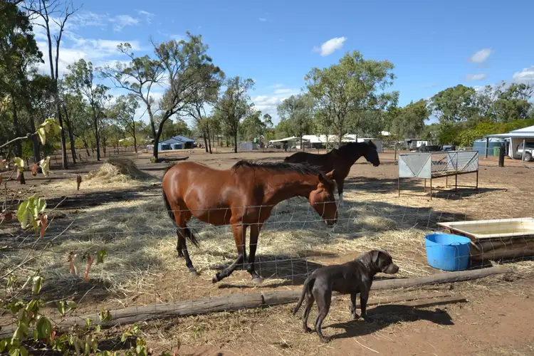 Fifth view of Homely rural property listing, 151 Ashford St, Gracemere QLD 4702