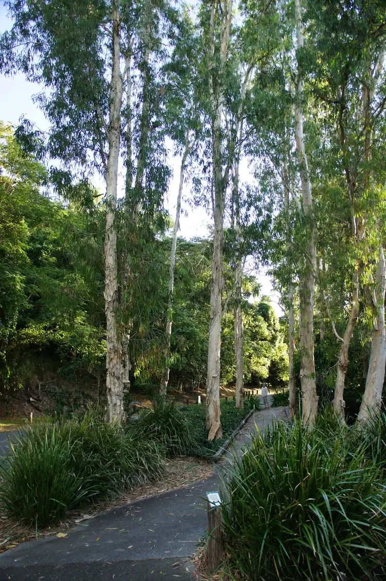 Sixth view of Homely land listing, 90B Flagship Drive, Trinity Beach QLD 4879