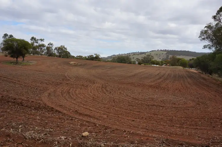 Main view of Homely land listing, 555 River Road, West Toodyay WA 6566