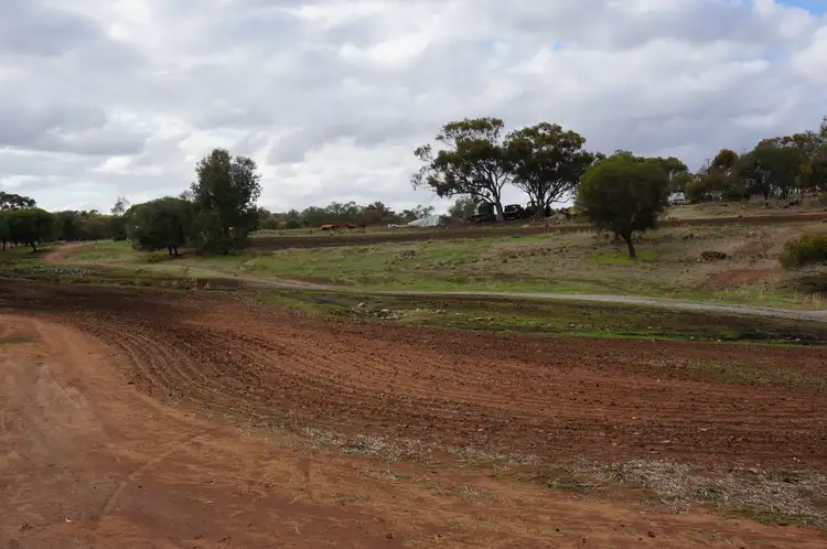 Third view of Homely land listing, 555 River Road, West Toodyay WA 6566