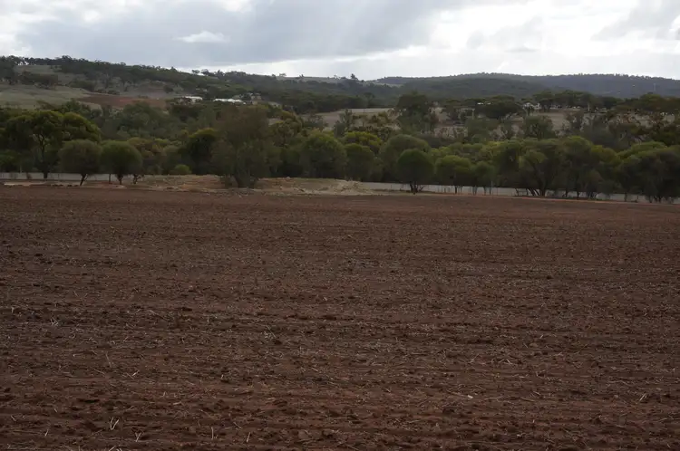 Seventh view of Homely land listing, 555 River Road, West Toodyay WA 6566
