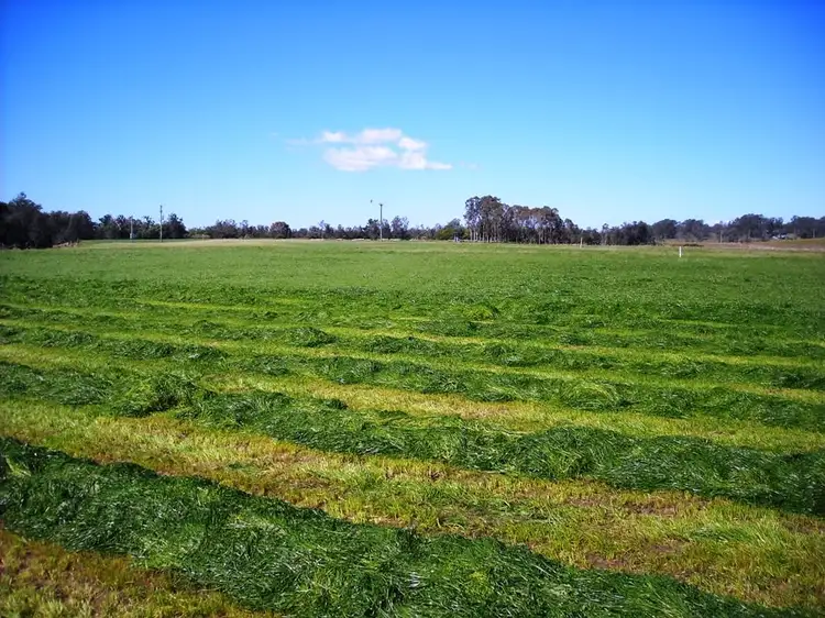 Second view of Homely rural property listing, 1605 Sextonville Rd, Dobies Bight NSW 2470