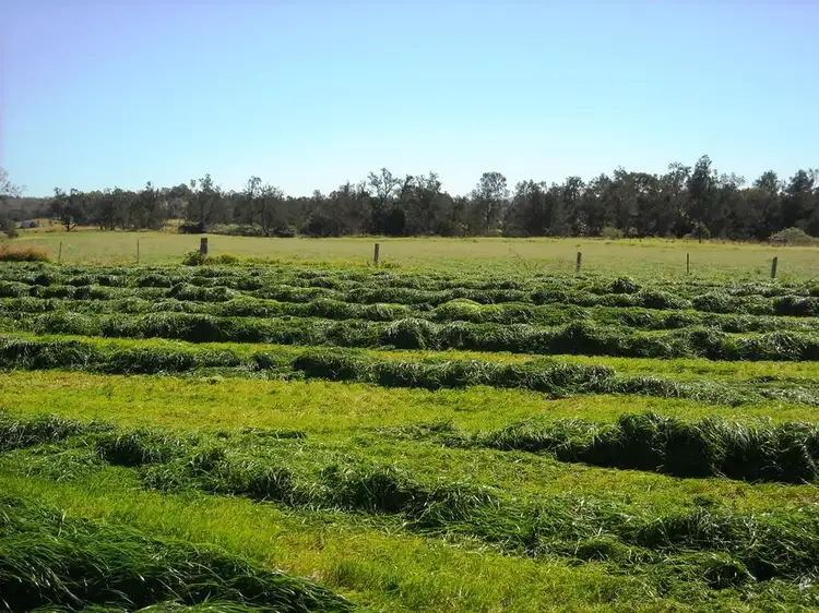 Third view of Homely rural property listing, 1605 Sextonville Rd, Dobies Bight NSW 2470