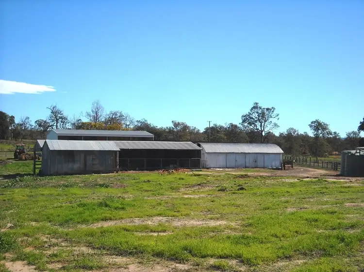 Sixth view of Homely rural property listing, 1605 Sextonville Rd, Dobies Bight NSW 2470