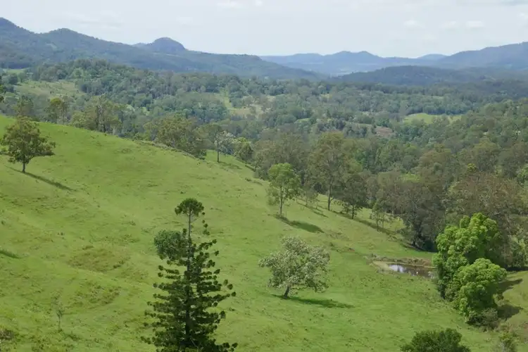 Third view of Homely rural property listing, 183 Williams Rd, Barkers Vale NSW 2474