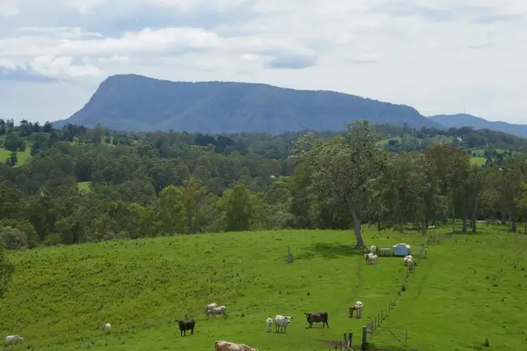 Fourth view of Homely rural property listing, 183 Williams Rd, Barkers Vale NSW 2474