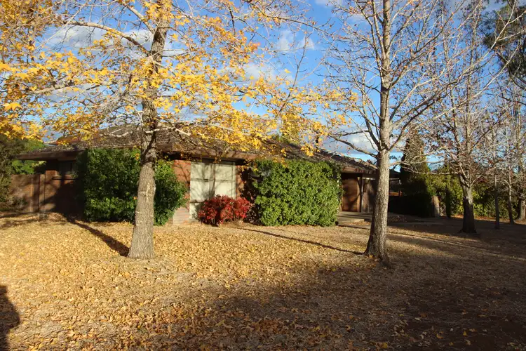 Main view of Homely house listing, 3 Seaward Ave, Scone NSW 2337