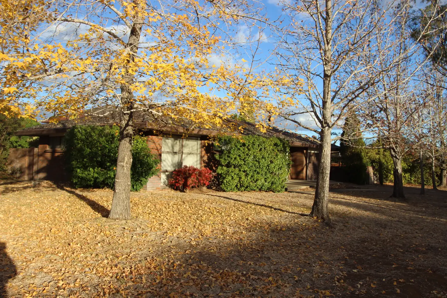 Main view of Homely house listing, 3 Seaward Ave, Scone NSW 2337