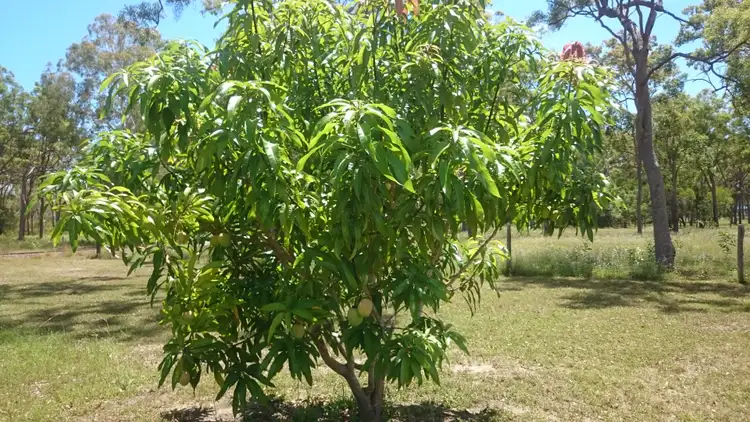 Fourth view of Homely land listing, Lot 24 Malvern Drive, Moore Park Beach QLD 4670