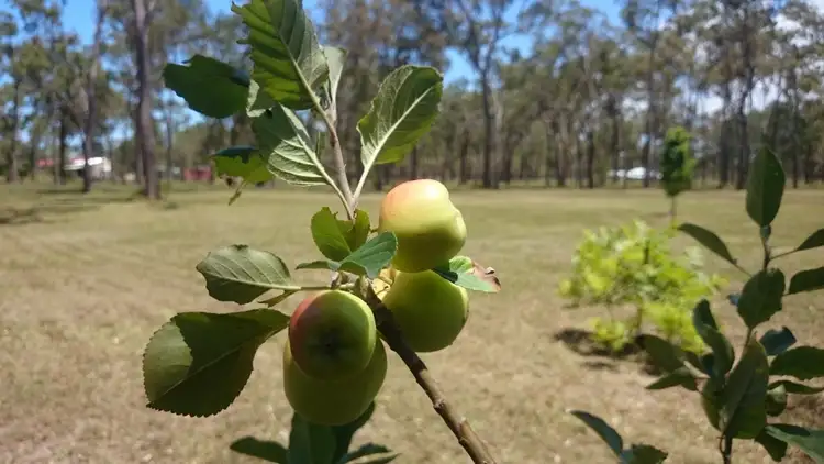 Fifth view of Homely land listing, Lot 24 Malvern Drive, Moore Park Beach QLD 4670
