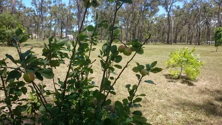Sixth view of Homely land listing, Lot 24 Malvern Drive, Moore Park Beach QLD 4670