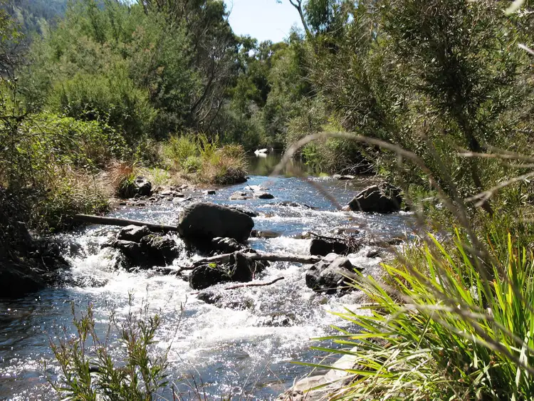 Third view of Homely rural property listing, 88 Old Bindi Rd, Bindi VIC 3896