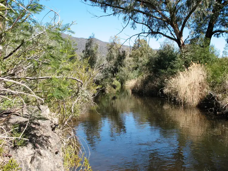 Fourth view of Homely rural property listing, 88 Old Bindi Rd, Bindi VIC 3896