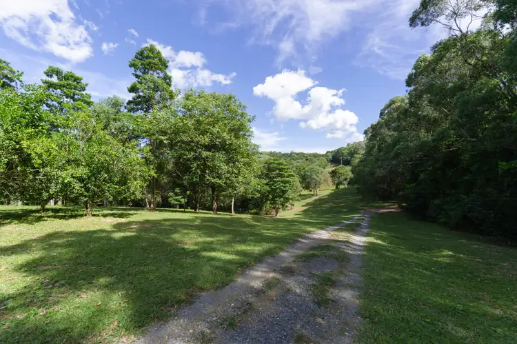Second view of Homely house listing, 134 Nine Mile Road, Julatten QLD 4871