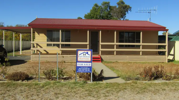 Main view of Homely house listing, 40 Enmore St, Trangie NSW 2823