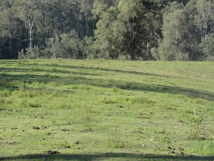 Fifth view of Homely rural property listing, 1853 Afterlee Road, Kyogle NSW 2474