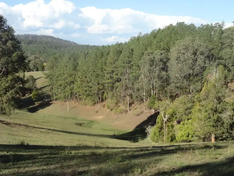 Seventh view of Homely rural property listing, 1853 Afterlee Road, Kyogle NSW 2474
