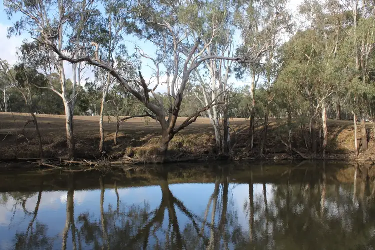 Fifth view of Homely rural property listing, 14180 Cunningham Hwy, Warwick QLD 4370