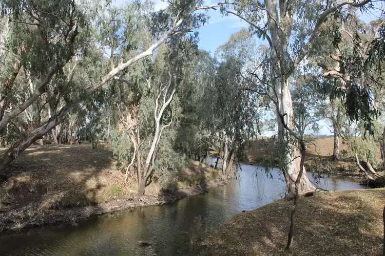 Seventh view of Homely rural property listing, 14180 Cunningham Hwy, Warwick QLD 4370