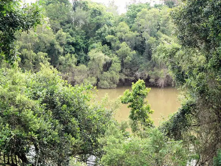 Third view of Homely rural property listing, Lot 188 Flindersia Dr, Tiaro QLD 4650