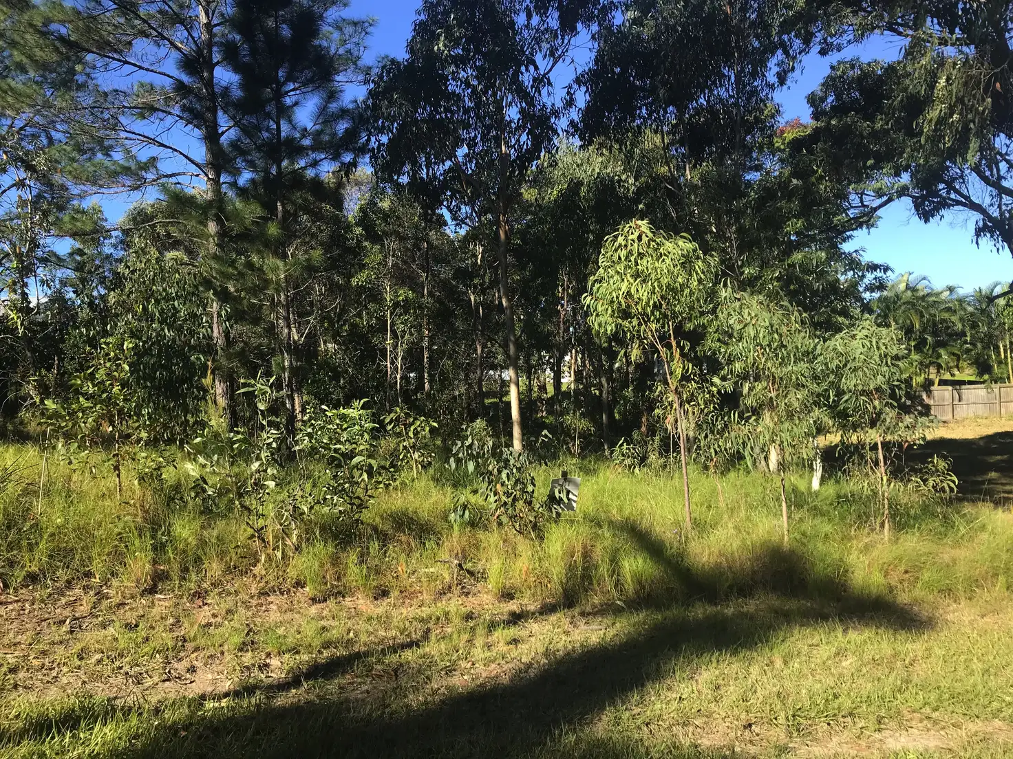 Main view of Homely land listing, 16 Rhodes St, Macleay Island QLD 4184
