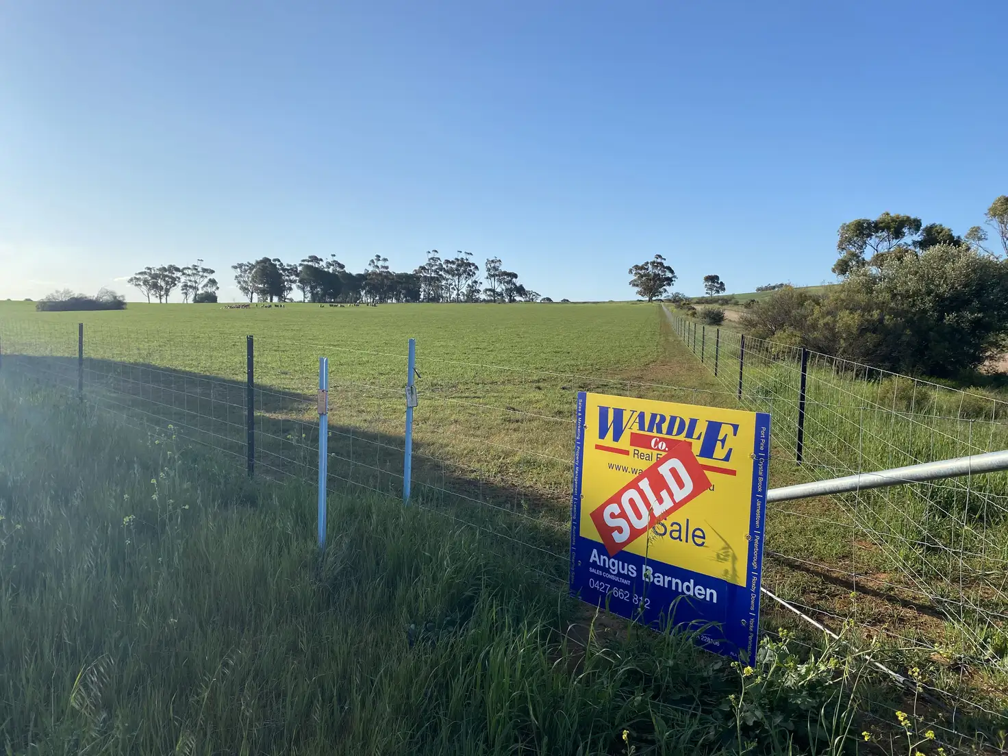 Main view of Homely land listing, Section 295 Laura-Caltowie Rd, Caltowie SA 5490