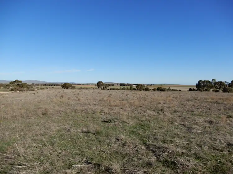 Third view of Homely land listing, Section 295 Laura-Caltowie Rd, Caltowie SA 5490